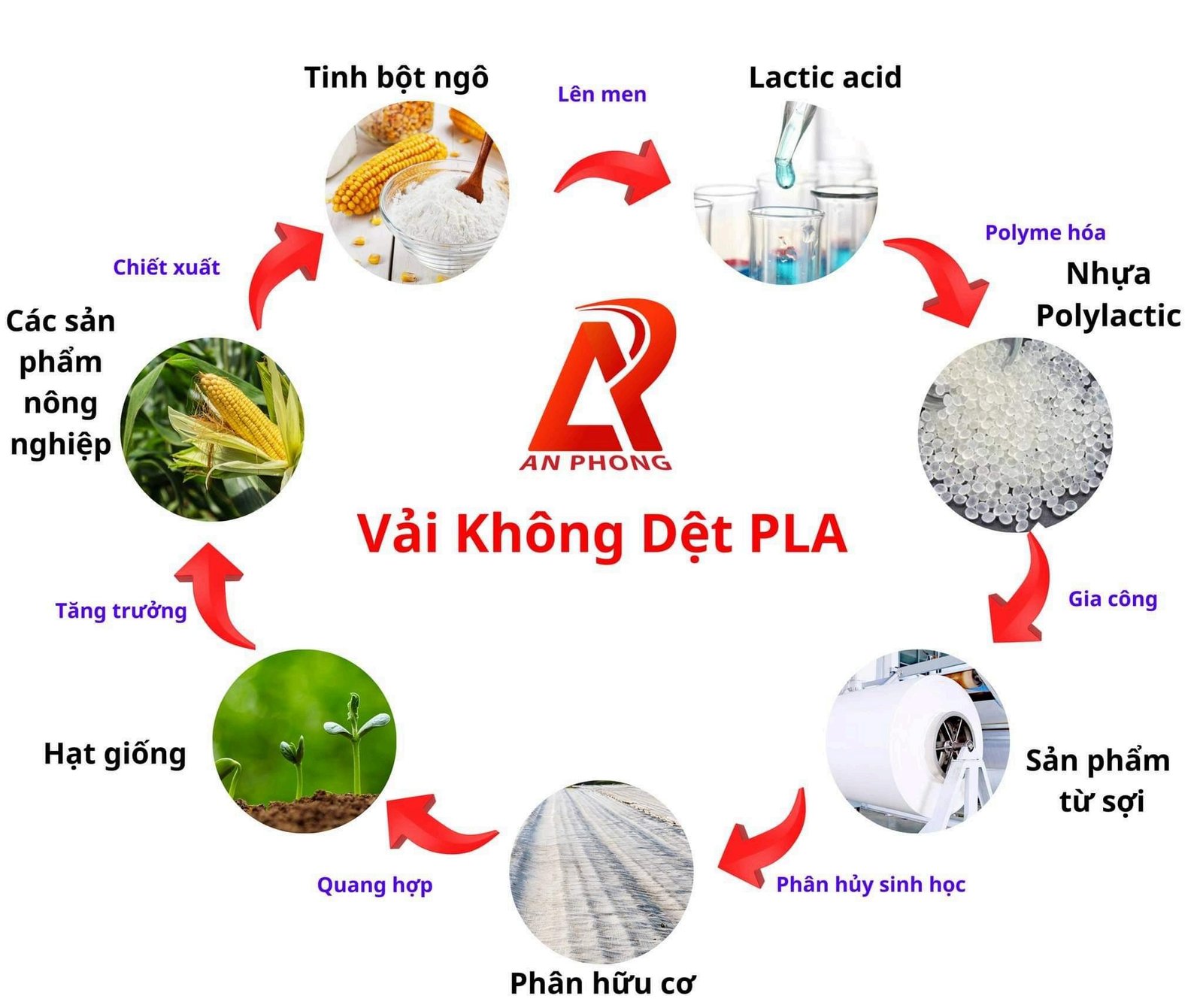 Vòng đời vải không dệt PLA từ tinh bột ngô