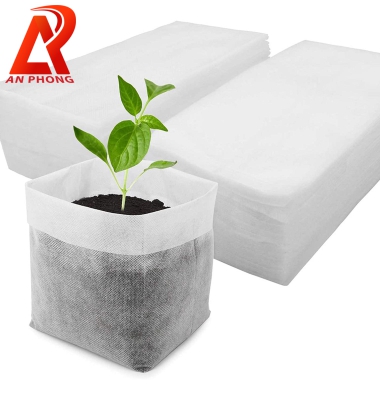 Túi vườn ươm không dệt