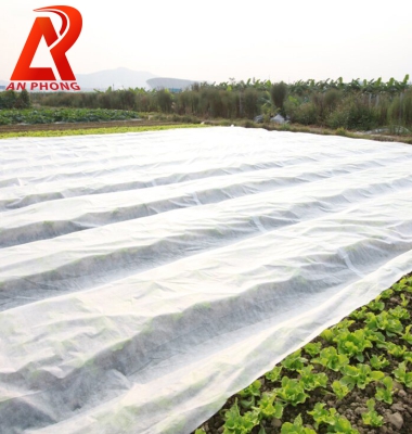 Vải không dệt phủ cỏ